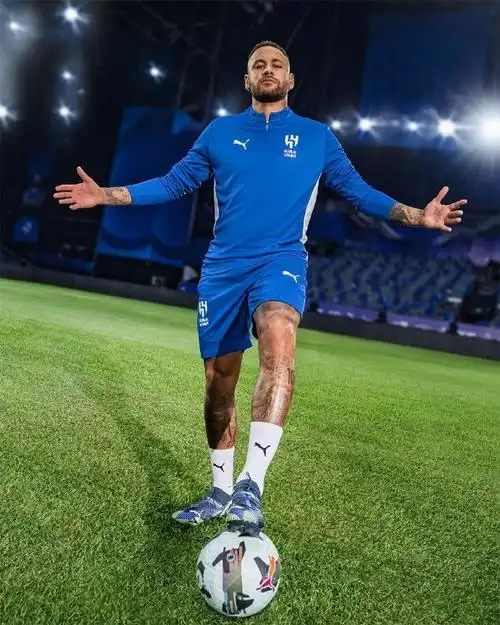 风险与挑战 风险与挑战